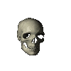 ani1.gif